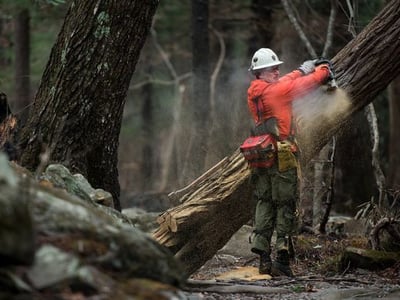 The Help You Need for Long-term Wildfire Recovery in Sevier County